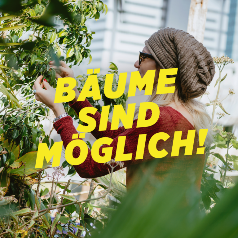 Weiterfürhende Infos: Bäume sind möglich